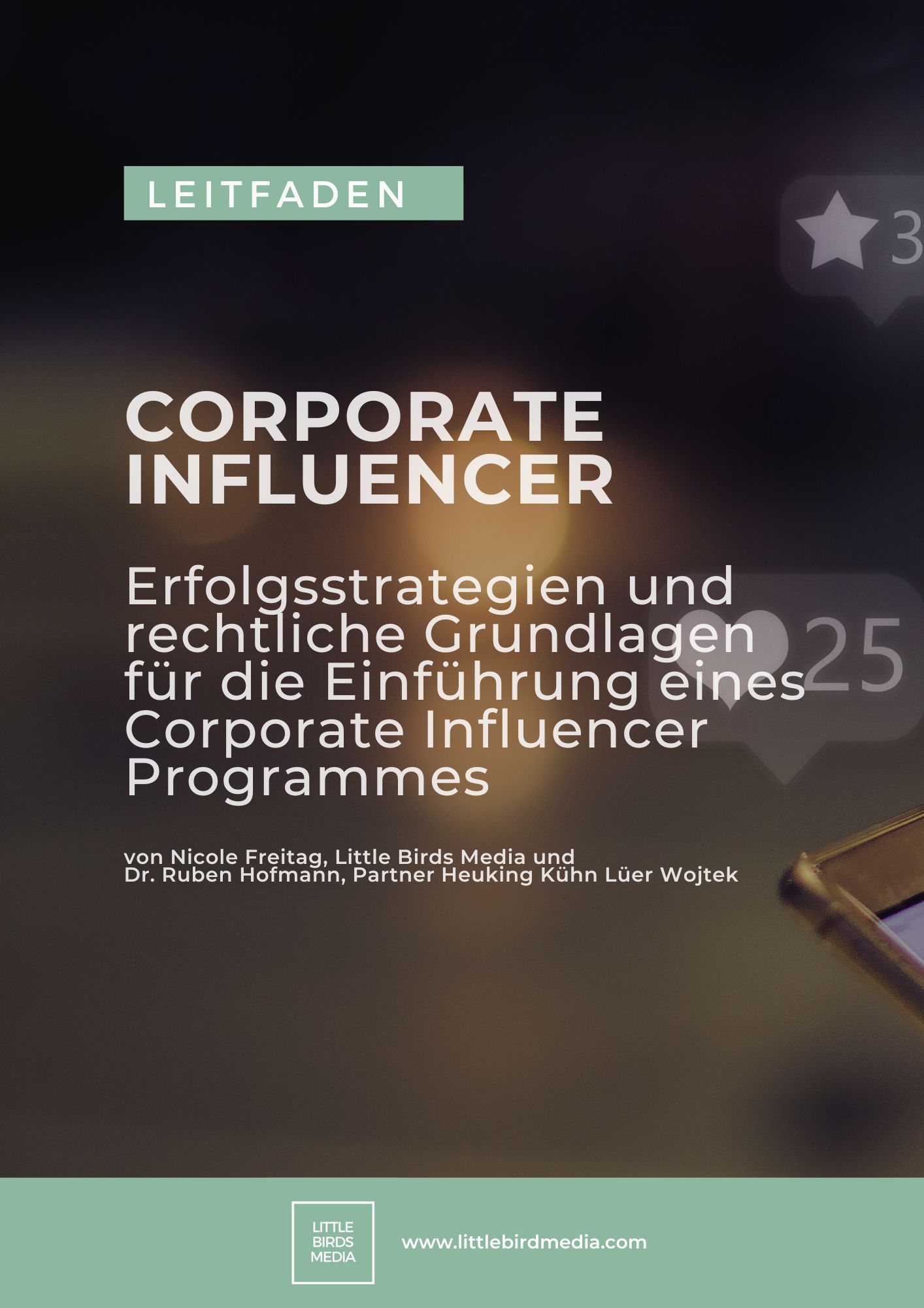 Corporate Influencer, Erfolgststrategien und rechtliche Grundlagen für die Einführung eines Corporate Influencer Programmes