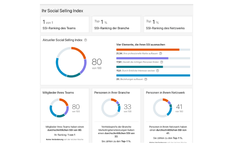 Mein LinkedIn SSI